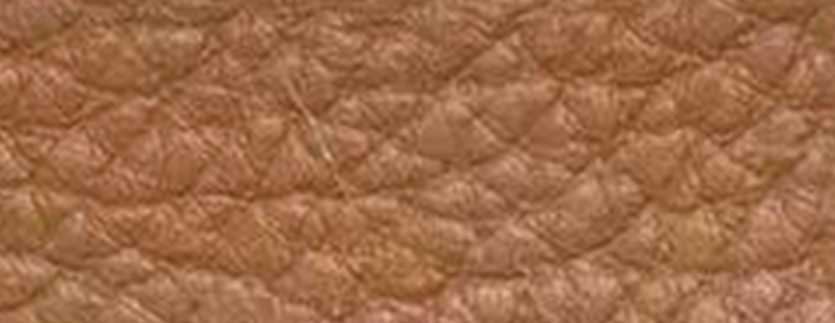 B015 Pebbled grain
