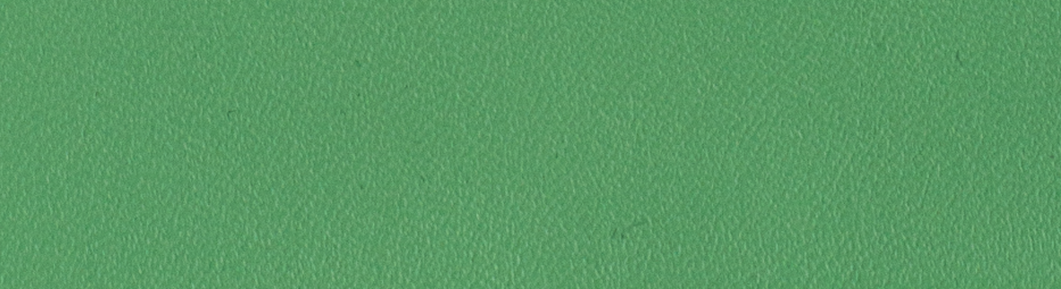 Seaweed